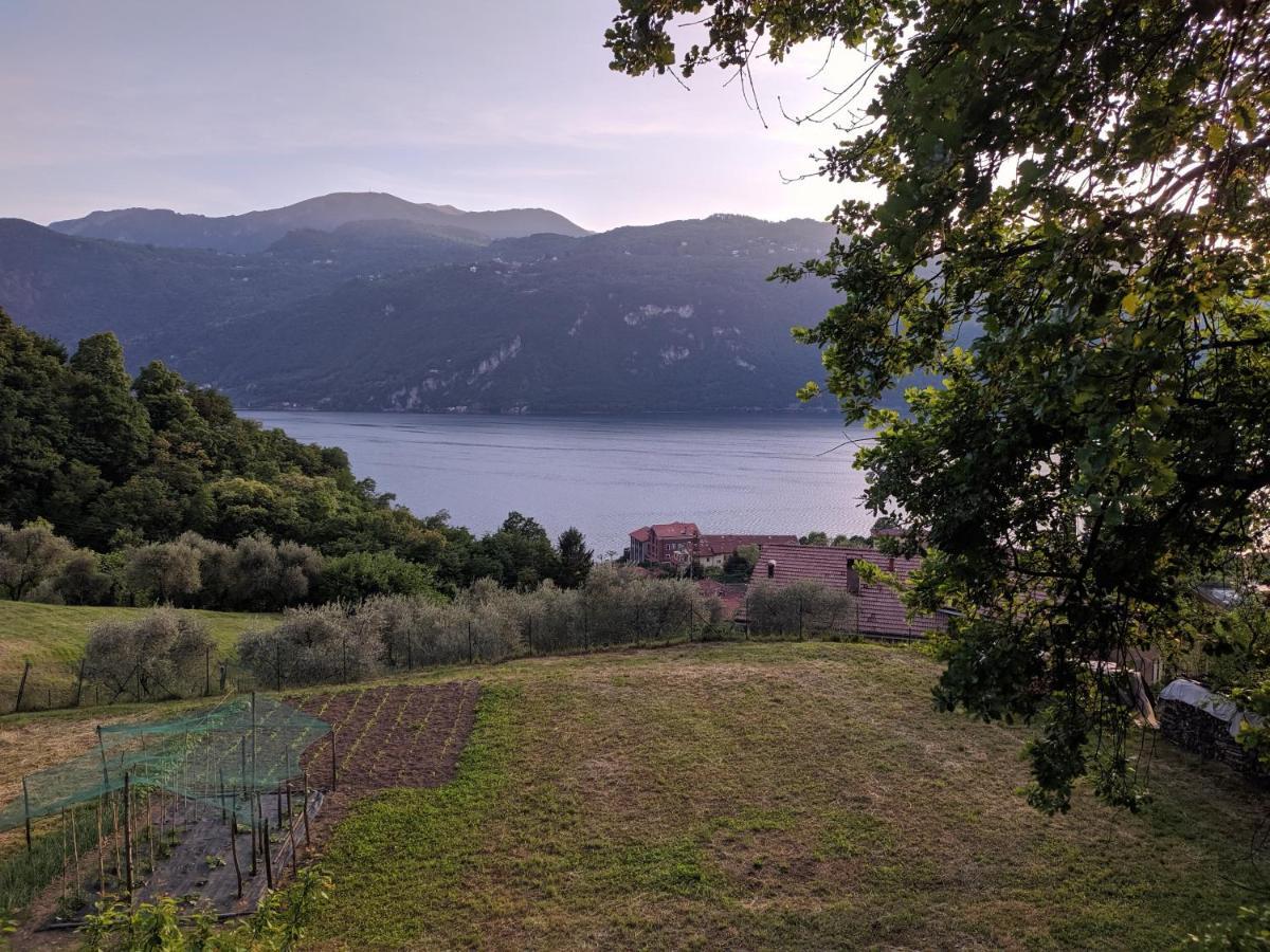 La Casetta Nel Bosco - Hot Tube And Sauna Lierna Exterior foto